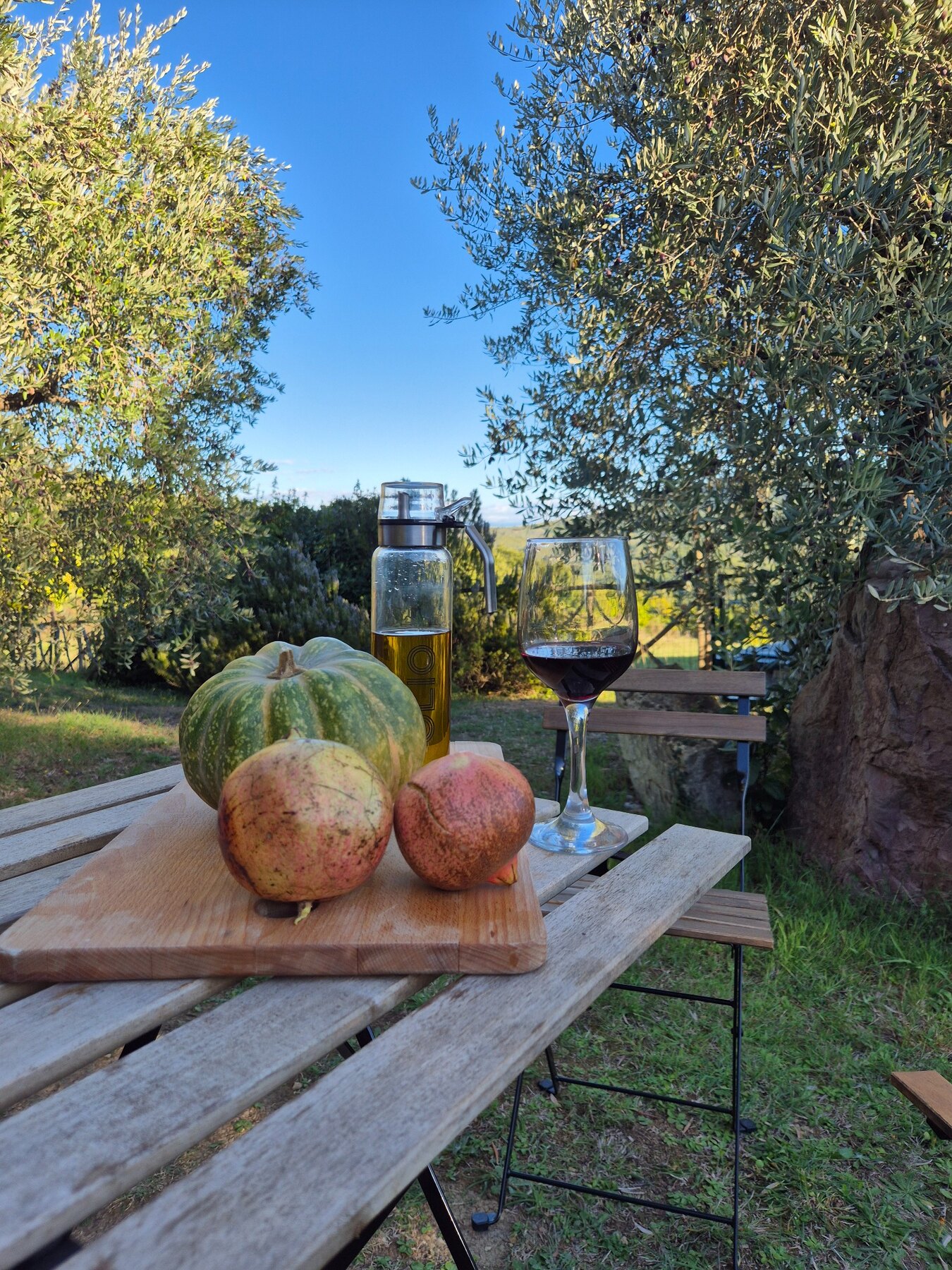 Melograni e vino nel giardino in autunno